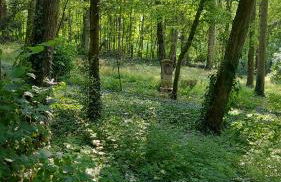 LE MANOIR PARADI - Foto 25