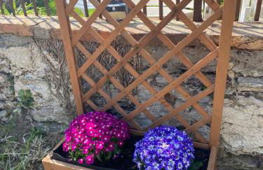 L'Origami - Domaine de la Houblette - Photo 10