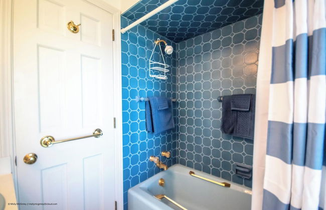 Puffin Rock - New 2022! - Photo 18