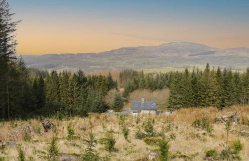 Brithgwm Canol - Foto 1