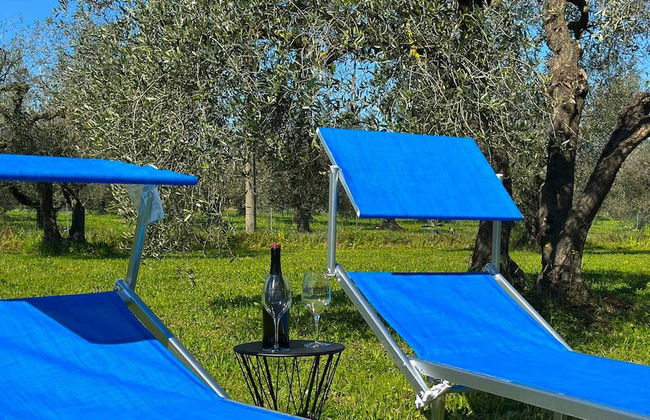 Podere Santa Maria - Foto 29