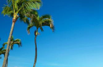 AEI at Kaanapali Shores - Photo 14