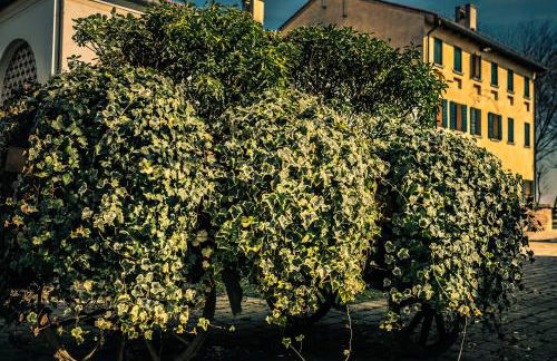 Le Vigne Morosina - Foto 6