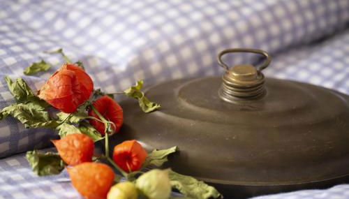 Fewo Froschkönig - Foto 4