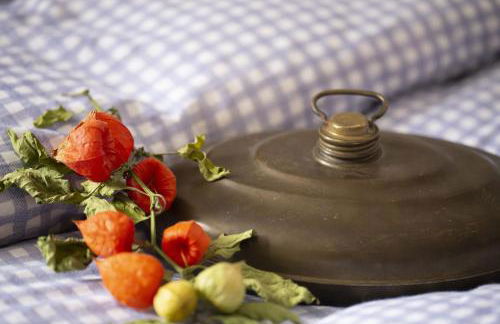 Fewo Froschkönig - Foto 4