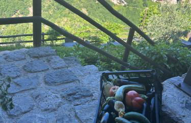 Agriturismo Orrido di Pino - Foto 15