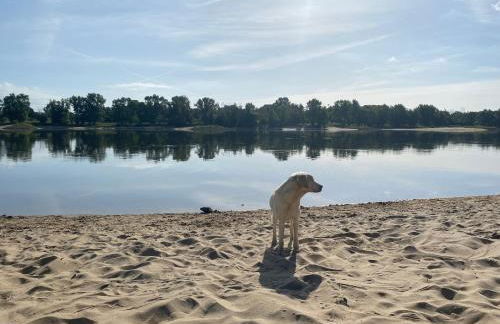 Ferienwohnung Elbsegler - Foto 33