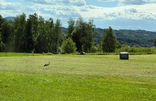 Słoneczny domek - Foto 52