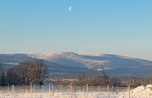 Smocza Chata - Foto 4