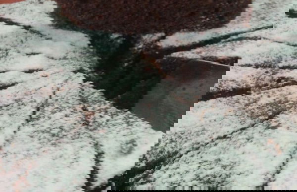 Agritur Girasole - Foto 26