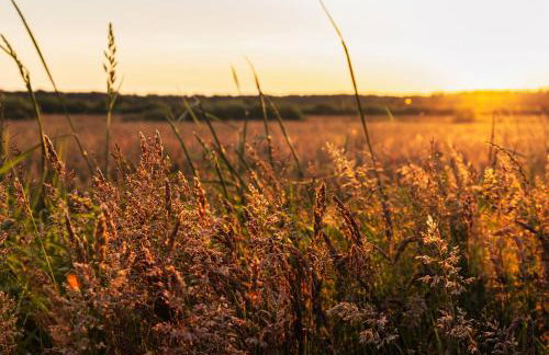 Dymnica 5- dom wakacyjny blisko Sasina i Łeby - Foto 44