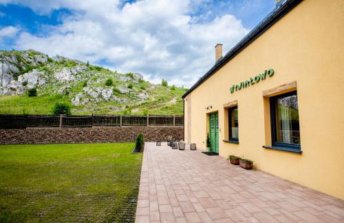 WYWIAŁOWO - Foto 46