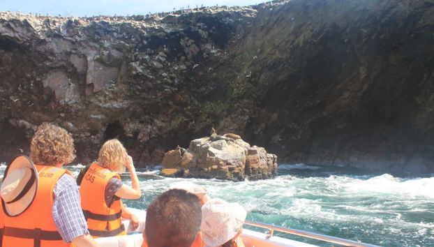 Excursión a Ica y Huacachina + Islas Ballestas - Foto 5