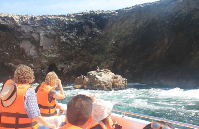 Excursión a Ica y Huacachina + Islas Ballestas - Foto 5