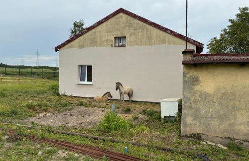 Chata kociewska - Foto 2