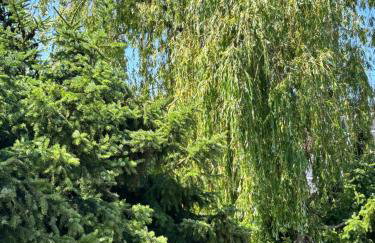 Harmonie im Grünen-Erdgeschoss-Ferienwohnung mit eigenem Eingang und direktem Gartenzugang - Photo 3