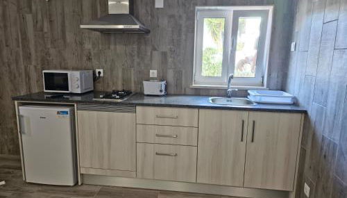 Apartamentos dos Mangues - Foto 4, stove, toaster