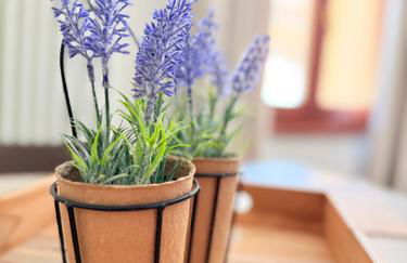 Maison Poluc - Cadeau des Alpes - Foto 35