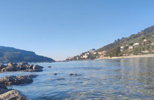 APPARTAMENTO MARIELLA - CITRA 011022-LT-166 - Foto 6