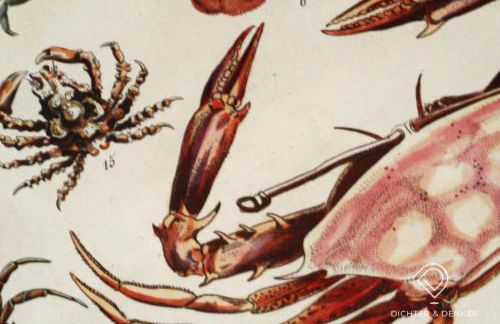 Dichter & Denker - Foto 17