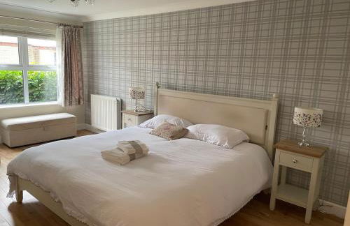 Central Woking - Photo 20