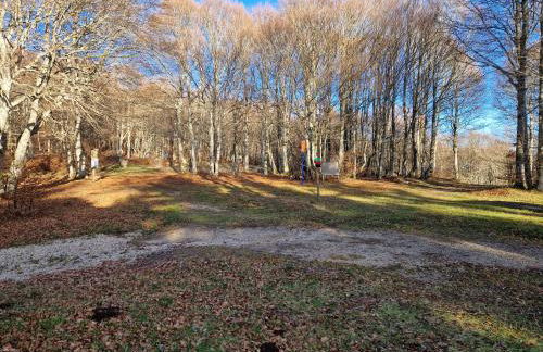 Le Chalet de l Abeille - Photo 19