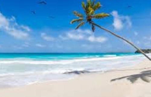 Waterview Oasis Retreat, minutes to Anna Maria Island and IMG - Photo 42