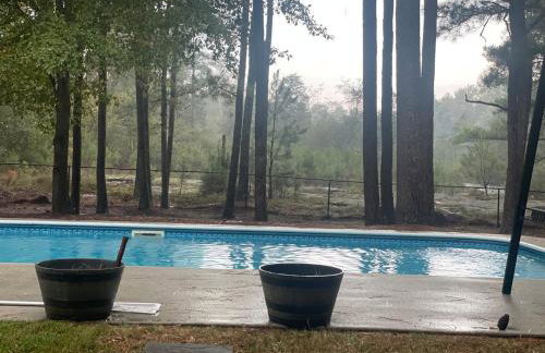 Secluded Retreat with Pool near Stone Mountain, Aquarium and Coca-Cola - Downtown - Foto 36