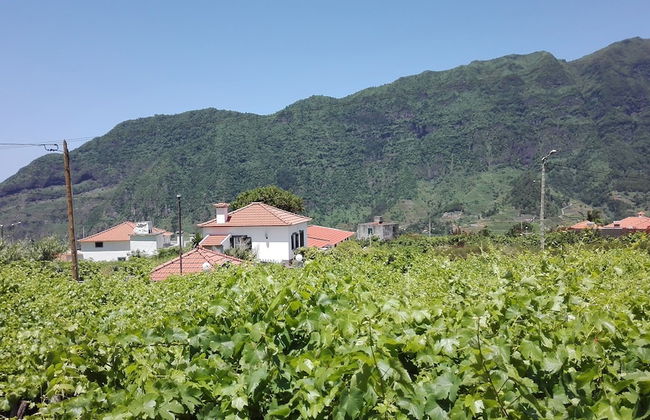 Grannys Farm - Foto 60