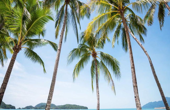 Langkawi entdecken - Halbtages-Tour - Foto 1