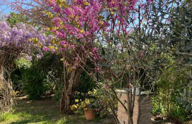 I gatti e la Volpe B&B - Photo 27