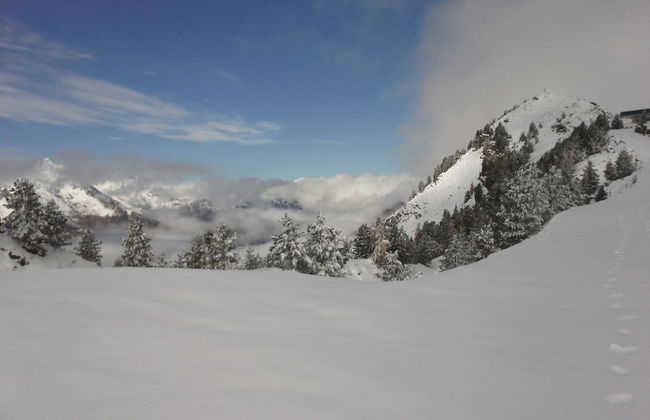 David Suiten - Foto 48