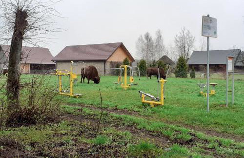 Agroturystyka u Wojtka - Foto 25