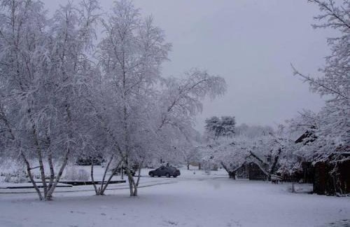 Pet-Friendly Vacation Rental on a Working Farm near Hudson, New York - Foto 9