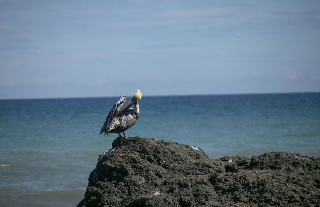 Villas Cabuya Beach & Forest - Foto 61