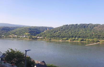 Ferienwohnung mit Rheinblick 2-4 Personen - Foto 7
