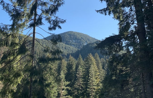 Beautiful Cosy Studio Apartment in Bansko - Photo 27