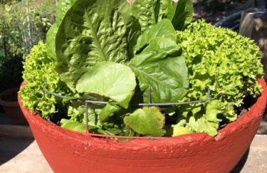 ARETI Sea View Mountain Cottage - Foto 19