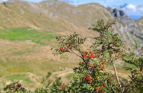 Wellness Snow Loft - Sauna privata & Vista Monti- Vicino alle piste - Prato Nevoso - Foto 11