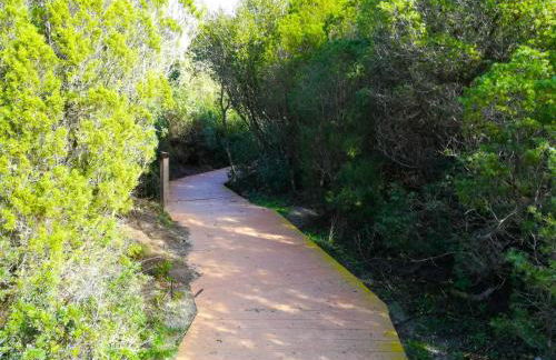 Kiteshomes - Foto 11