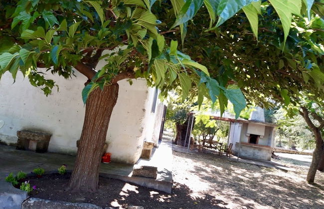 Masseria Pietro - Photo 10