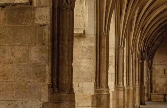 Domaine de Saint-Orens​ - Photo 43