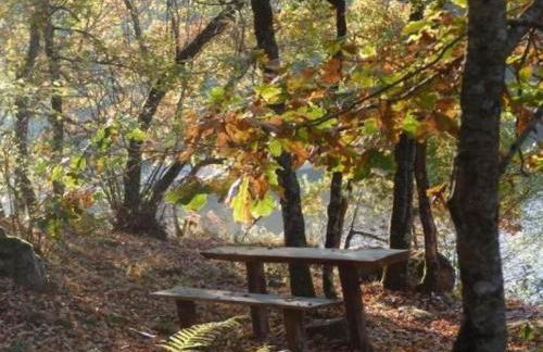 Gîte en pleine nature avec Wifi, animaux acceptés - FR-1-489-122 - Foto 25