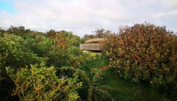 6 Person Holiday Home in Skjern - Foto 2, Miscelánea