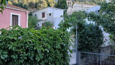 Small Paradise - Foto 5