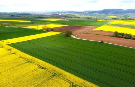 Apartment Kneer - Panoramic View & Private Garden near Black Forest & Lake Constance - Foto 9
