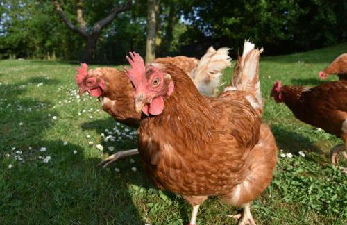 The Barn at Whitehouse Farm 18th century 3 bed Barn- Beautifully converted - Foto 10