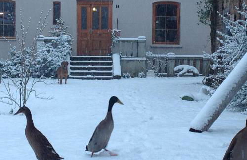 Auszeithaus Brigittenhof - Photo 16