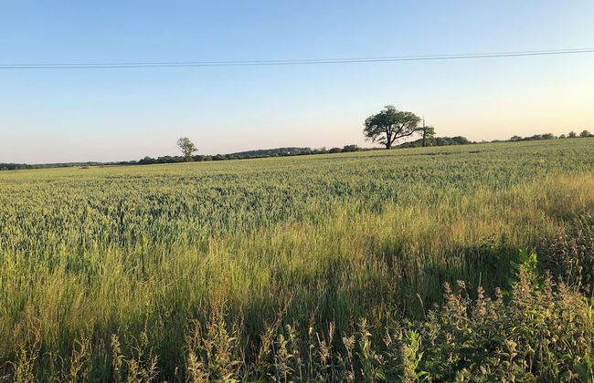 Moo Cow Cottage Self Catering - Foto 18