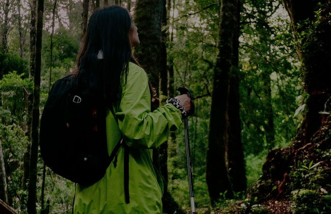 Senderismo nocturno por el Parque Tepuhueico - Foto 1